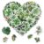 Pack 50 Pcs Cute Green Plant Stickers for Water Bottles Funny Laptop Luggage Computer Scrapbooking Phone Kids Teens Girls Adults Aesthetic Waterproof Sticker Small Vinyl Decals