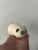 Panda Squishy Squeeze Toy