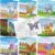 Pasimy 24 Pcs Butterfly Coloring Books Bulk -DIY Activity Books Party Favors for Adults Boys Girls Birthday Party Gifts Baby Shower Gooides Bag Fillers Supplies