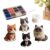 Patio 3D Beaded, Cat DIY Kit, Beginner-Friendly Cute Easy to Use, Pet