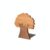 Pegciuho Wooden Book Shelf Bookend Holder Organizer Rack Featuring Tree Design and Sturdy Metal Base Smooth Hand Polished Walnut Cherry Wood Suitable for Desktop Bookshelf Study Dorm