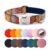 Personalized Dog Collar Laser Engraving Name Plate (Bohemia-Blue)