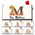 Personalized Fall Monogram Mailbox Cover Magnetic Standard Size, Custom Last Name Sunflower Pumpkin Mail Box Wrap, Rustic Wood Grain Decor for Outdoor Home Garden Yard, Housewarming Gifts, 18×22 Inch