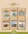 Phonic Books The Fact Files 4: Alternative spellings, and Latin suffixes (Phonic Books Catch-Up Decodable Readers)