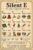 Phonics Posters Silent E Vintage Classroom Cool Wall Art Print Poster 16×24