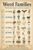 Phonics Posters Word Families Vintage Classroom Cool Wall Art Print Poster 16×24