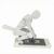Physiological Model Posture Model Human Figure Model Articulated Structure Segmented Torso PVC with Instructional Suitable for Classroom Labs Education Demonstration