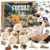Piano Potato Fossil Dig Kit, 12 Fossils with Zero-Mess Mat, STEM Toy 6-12