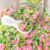 Pink Flower Field, Floral Polymer Clay Sprinkle Mix (NOT Edible), 20g Bag