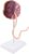 Placenta Umbilical Cord Anatomy Model, Visible Vascular Network, 1:1 Size