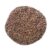 Plastic Sand 1kg Brown Cassia Seeds Beach for