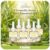 Plug in Air Freshener Refills, Citronella Lemongrass Summer Scents for Indoor Home Backyard Camping BBQ Summer Use, 6 Count 3.96 FL OZ, Compatible with Air Wick & Glade