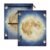 pnyoin Pencil Pouch for 3 Ring Binder, 2 Pack Zipper Pencil Case with 3 Compart Pockets & Clear PVC Window, Gold Full Moon Art Organizer for School Supplies