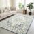 Poboton Vintage Persian Rug 2×6 Print Distressed Carpet Grey Multi Thin Rug Chenille Mat Lightweight for Kitchen Living Room Bedroom Dining Room