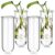 POPETPOP 4PCS Glass Plant Propagation Test Tubes for Hydroponic Cuttings