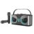 Portable Wireless Karaoke Speaker with Dual Wireless Microphones, RGB Light Effects, Home KTV and Outdoor Party, Gray, 10.2 x 4.3 x 5.4 in / 26 x 11 x 13.8 cm, for Singing Fun