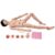 Professional Nursing Training Model with 4-Stage Pressure Ulcer Anatomy