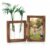 Propagation Stations Glass Planter with 4×6 Picture Frame Wooden Vase for Indoor Gardening Desk Decor Plant Terrarium