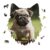 Pug Puppies Puzzles for Adults, 175 Pieces, Wolf Shape