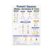 Punnett Squares Educational Poster – Biology Classroom Reference – 13×19