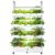 Pvxa Indoor Self-Watering Kit, Large Hydroponics Growing System, with 2 Grow Light Modes, Auto Circulating Water System, for Vegetable Fruit White-4layers/120wells