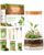 PYEF CRAFTS Terrarium Kit for Plants DIY