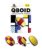 QBOID™ – The 1-2-3 Pocket Brain Teaser Fidget Puzzle, Brainwright®