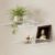 QsQueen Acrylic Floating Shelves with Solid Wood Base, Wall Mounted Shelf for Plants, Perfume, Nail Polish, Bathroom, Bedroom & Living Room Décor White