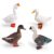 QUPLIZ 4pcs Realistic Poultry Animal Figurines Plastic Goose Duck Statues