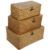 Rattan Storage Basket Makeup Organizer Multipurpose Container with Lid (S//L)