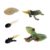 RCULWPLP 4X Kids Cycle Frog Animal Growth Pre-School Biology Toys