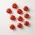 Realistic Tomato Magnet Set, Mini Vegetable Fridge Magnets, Kitchen Decor
