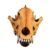 Realistic Wolf Head Bone Model Resins Animal Skull Skeleton Replicas Educational Tool for Anatomy Study Home Decors Gift Artistic Wolf Skull Resins Art