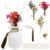 Reed Diffuser Set with Frosted Glass Bottle 150ml Fragrance-Free