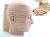 Removable Human Brain Cross-Section,Human Head Cross Section Model 12 Parts for Medical Classroom Study
