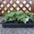 Rengue 24 Cell Seedling Tray with Lid, Plastic Seed Starter Trays 3 Pack Stackable Nursery Pots, Clear Humidity Dome, Space Saving for Indoor Outdoor Gardeners and Beginners (Black)