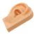 Right Ear Silicone Human Model for Jewelry Display and Piercing Practice