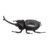 RiToEasysports Solar Powered Toy, Dung Model for Educational Science