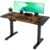 RKPWDE 48×24 Inch Electric Standing Desk Adjustable Height Sit Stand Desk (Black+Brown, 55×24, Metal)