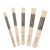 ROLLINGDOG 5-Piece Round Stub Oil Paint Brushes – Natural Bristle Artist Set for Blending & Canvas Painting, Short Handle, Nickel Plated Ferrules, Sizes #1-#5