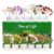 Runyangshi 12pcs Crystal Tree Set Natural Healing Crystal Gemstone Tree of Life with Selenite Base Trees Fengshui Good Luck Purification Positive Energy Home Decor