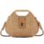 RVSTJE Straw Crossbody Bag for Women Boho Summer Beach Basket Purse Woven Wicker Bag Lightweight Shoulder Handbag (Khaki)