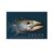 Salt Water Tuna Fishing Motivational Canvas Printing Wall Art Prints Wall Decor Posters Scandinavian Bohemian Ocean Tackle Lures Reels Rods Living Room Bedroom Home Office 20x30inch(50x75cm)