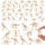 SAYAYA 100 Pieces Dinosaur Fossil Skeletons Mini Dinosaur Skeleton Figures Plastic Dino Bones Science Play Dino Sand Dig Party Favor Cake Topper Decoration