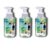 S’cent T’heory Foaming Hand Soap, Island Aloe 11 fl oz, Pack of 3