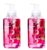 Scen~t Theor~y Foaming Hand Soap Wild Black Cherry 11 fl oz (2 pack)