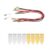 Science Fair Project Kit, Fruit Experiment Equipment With Metal Plates And Wires, Teaches Energy Conversion And Circuit Basics For Students, Safe Hands-on Physics Learning Tool