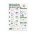 Science Lab Setup Poster – Classroom Wall Art for Teachers – 13×19