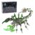 Scorpion Mechanical 3D Metal Puzzle Model Kit for Adults（Black & Golden）