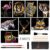 Scratch Art Paper(A4) for Teen & Adults, Rainbow Painting Night View Scratchboard, Art Craft, Crafts Set: 8 Sheets Scratch – Unicorn/Flamingo/Cat/Deer/Tiger/Leopard/Lion/Wolf & 6 Tools (Animal World)